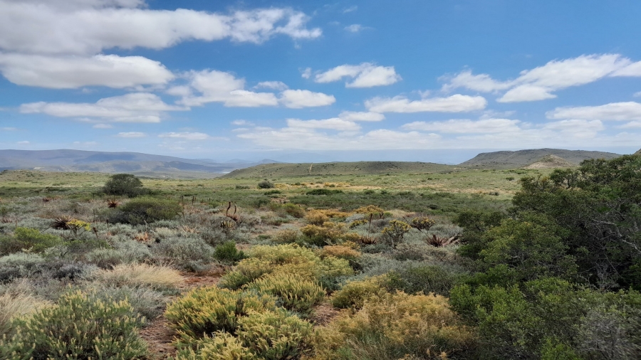 0 Bedroom Property for Sale in Robertson Rural Western Cape